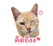858325698