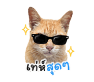 858325703