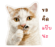858328467