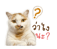 858328480
