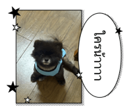 858328558