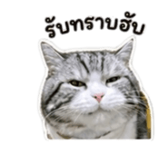 858329197