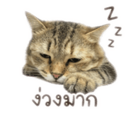 858329387