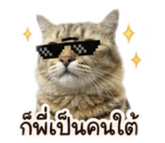 858329394