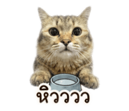 858329400