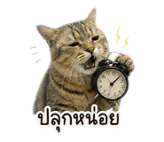 858329423