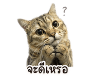 858329424