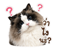 858329937