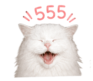 858330098