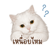 858330100