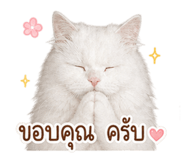 858330108