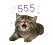 858330162