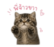 858330182