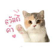 858332057