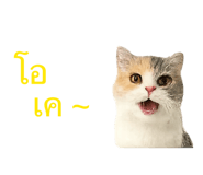 858332059