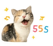858332060