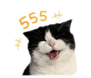 858333835