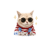 858334054