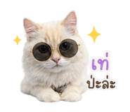 858334804