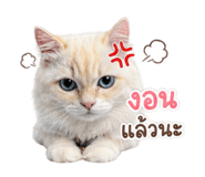 858334808