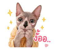 858334840