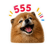 858335562