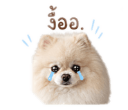 858336646