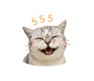 858337450