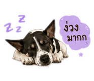 858337888