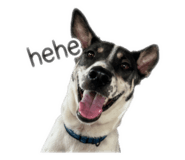 858337891