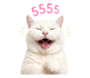 858338002
