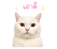 858338010