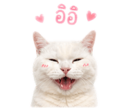 858338021