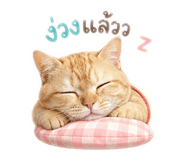 858338289