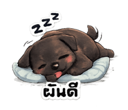 858339885