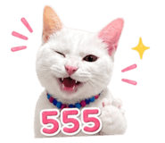 858340042