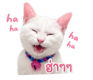 858340043