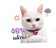 858340044