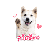 858340849