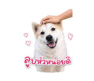 858340852