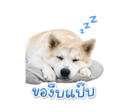 858340854