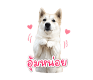 858340855