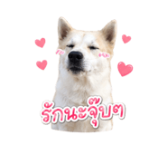 858340856