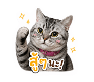 858340951