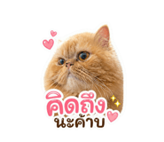 858341077