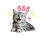858341082