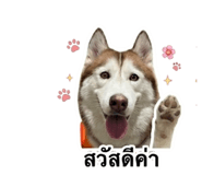 858343009
