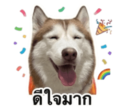 858343011