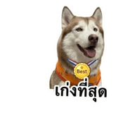 858343012