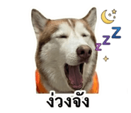 858343013